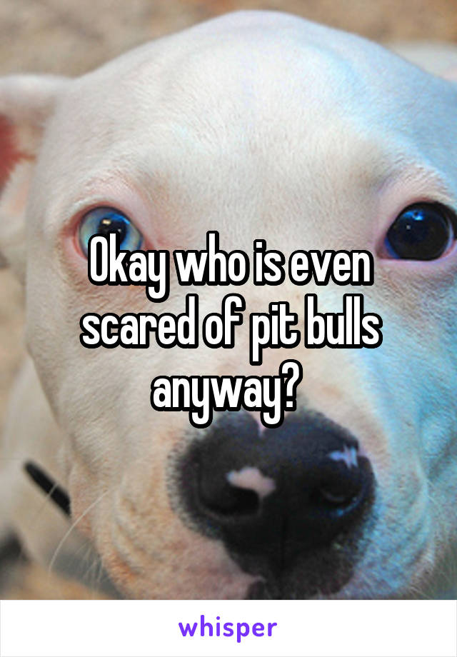 Okay who is even scared of pit bulls anyway? 