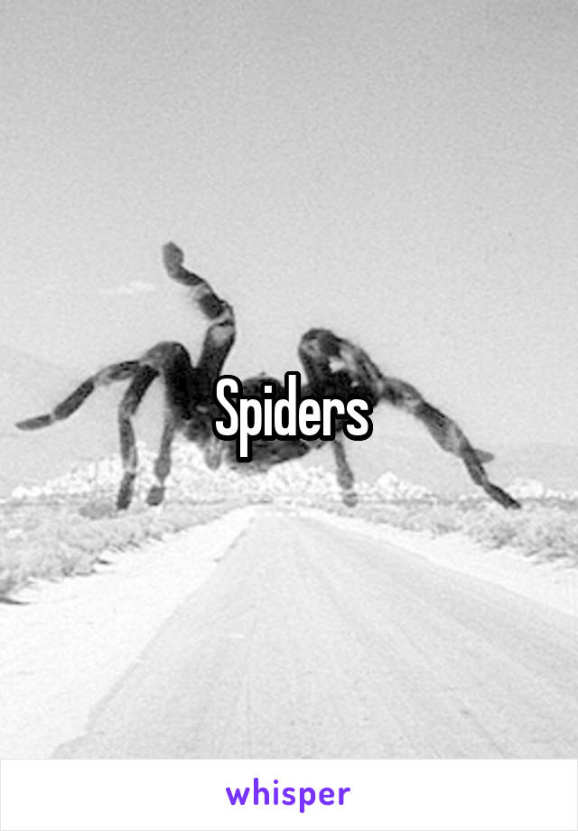 Spiders