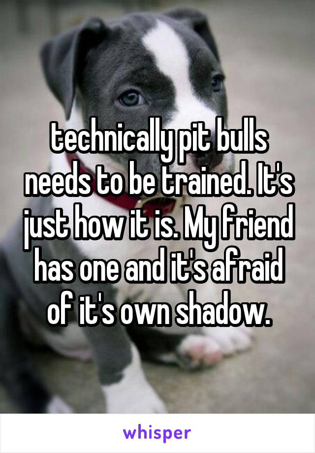 technically pit bulls needs to be trained. It's just how it is. My friend has one and it's afraid of it's own shadow.