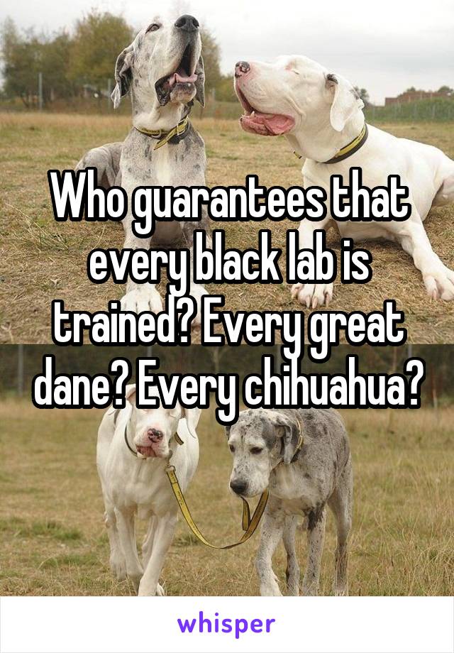 Who guarantees that every black lab is trained? Every great dane? Every chihuahua? 