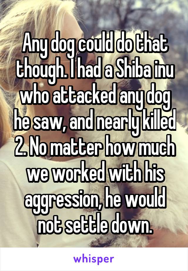 Any dog could do that though. I had a Shiba inu who attacked any dog he saw, and nearly killed 2. No matter how much we worked with his aggression, he would not settle down.