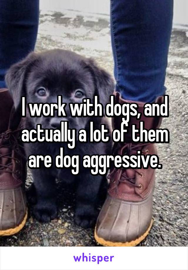 I work with dogs, and actually a lot of them are dog aggressive.