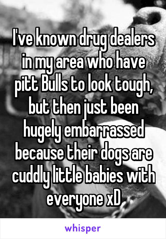 I've known drug dealers in my area who have pitt Bulls to look tough, but then just been hugely embarrassed because their dogs are cuddly little babies with everyone xD