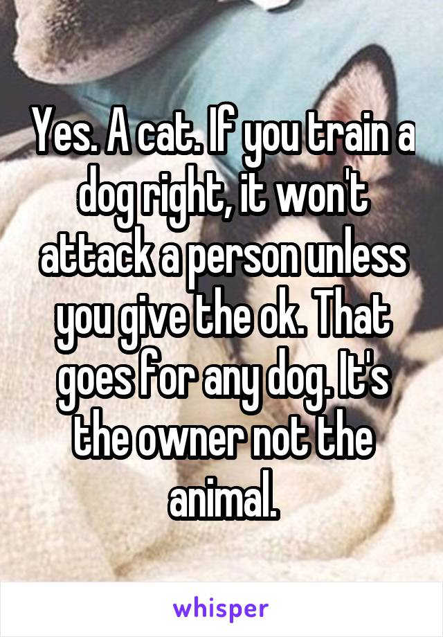 Yes. A cat. If you train a dog right, it won't attack a person unless you give the ok. That goes for any dog. It's the owner not the animal.