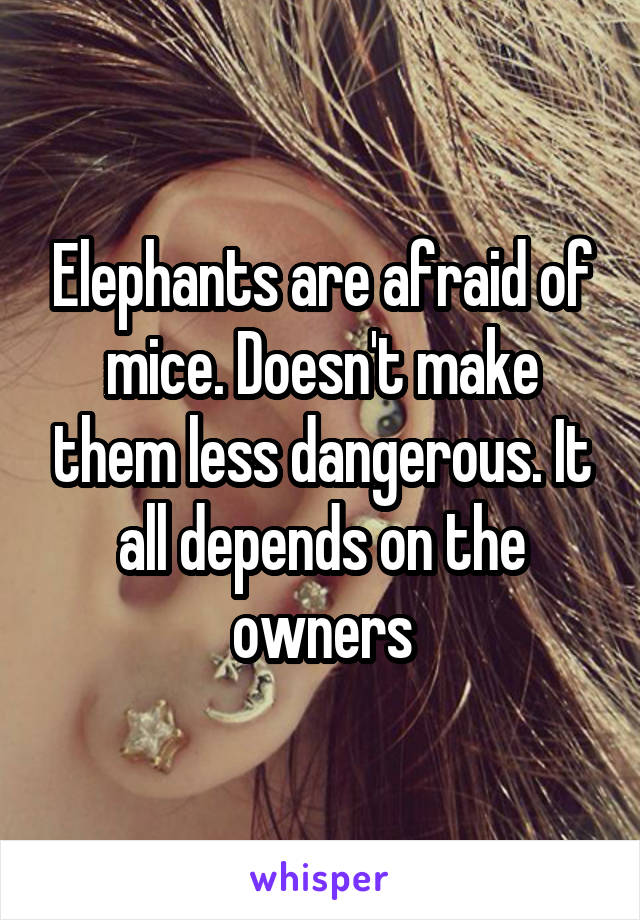 Elephants are afraid of mice. Doesn't make them less dangerous. It all depends on the owners