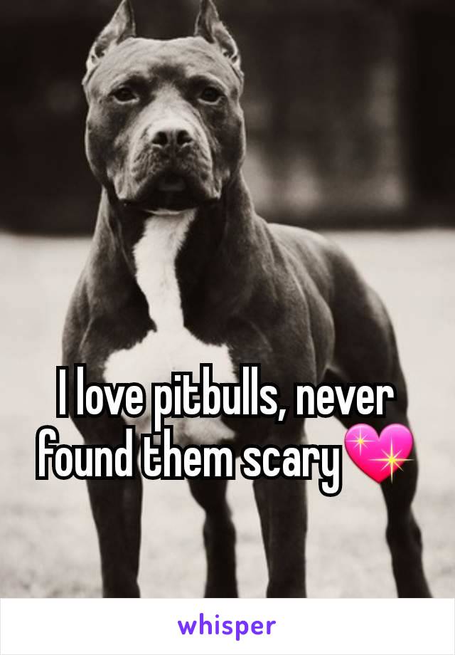 I love pitbulls, never found them scary💖