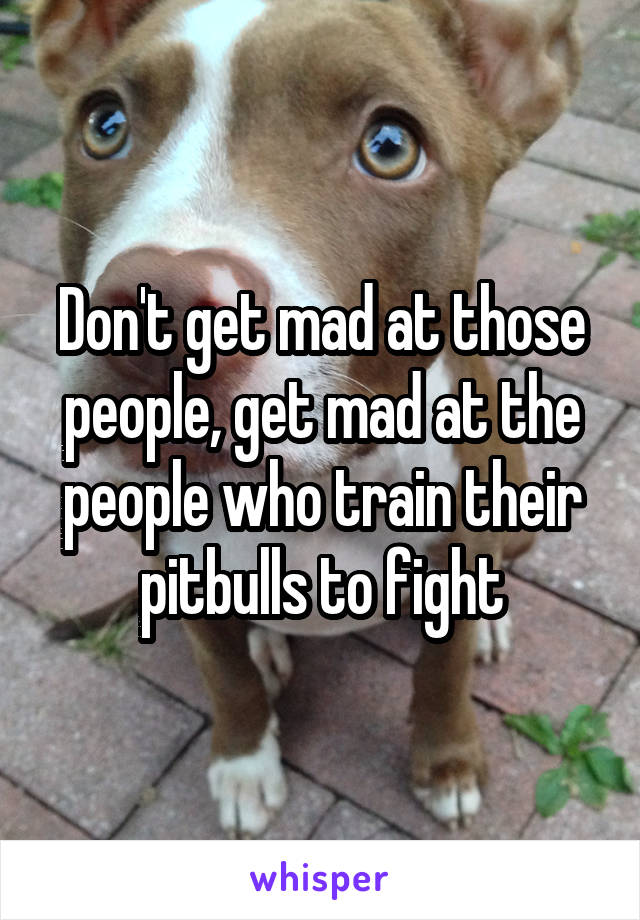 Don't get mad at those people, get mad at the people who train their pitbulls to fight