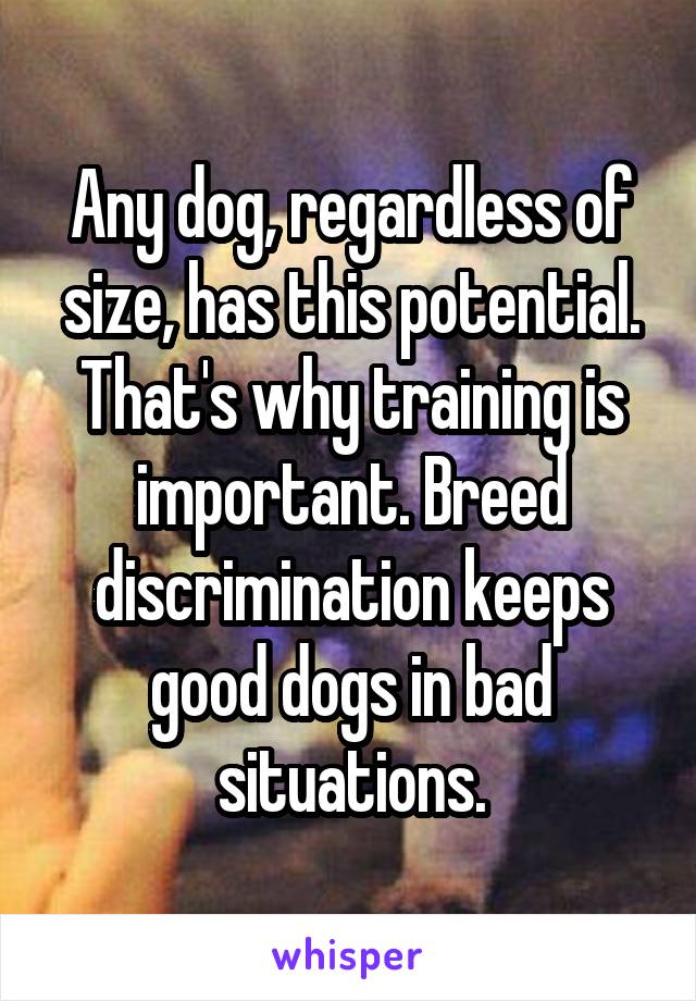 Any dog, regardless of size, has this potential. That's why training is important. Breed discrimination keeps good dogs in bad situations.