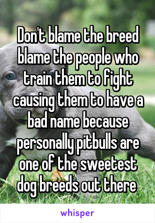 Don't blame the breed blame the people who train them to fight causing them to have a bad name because personally pitbulls are one of the sweetest dog breeds out there 