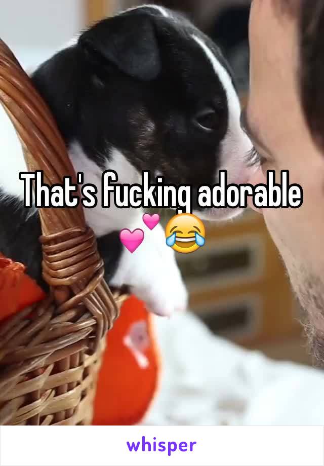 That's fucking adorable 💕😂