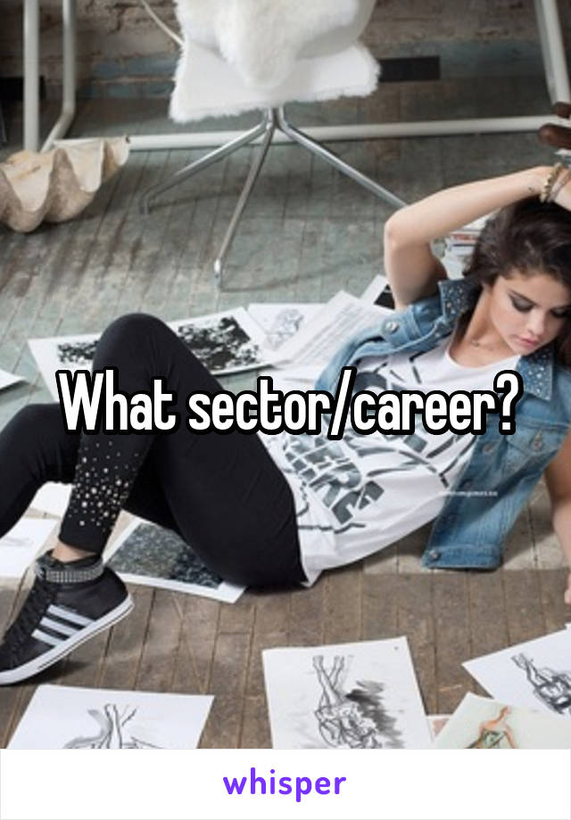 What sector/career?