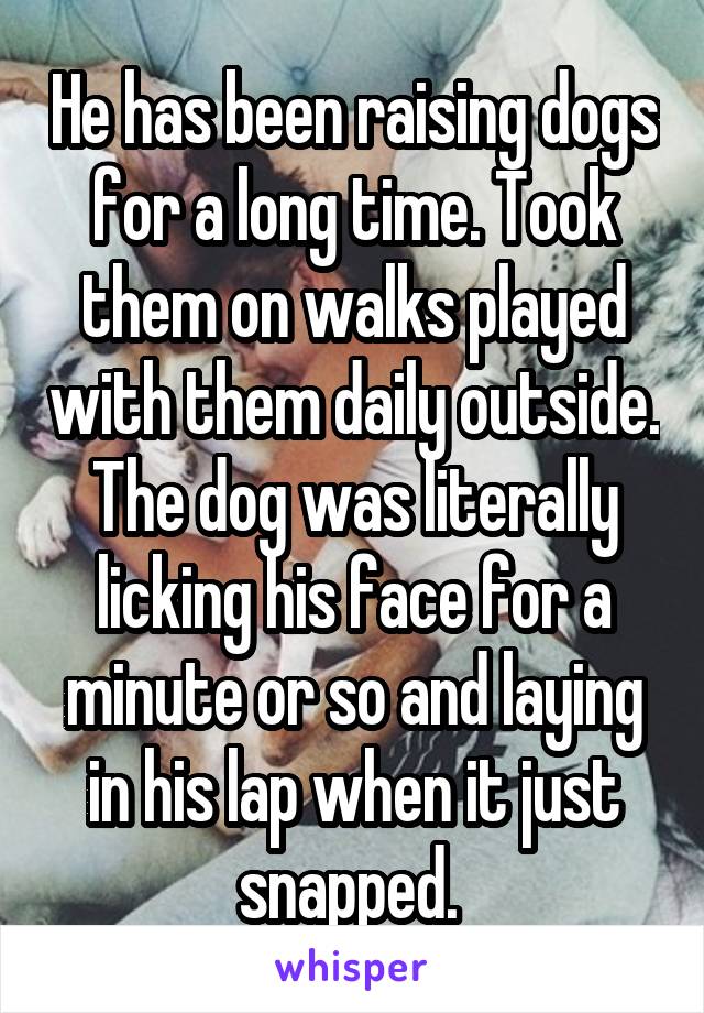 He has been raising dogs for a long time. Took them on walks played with them daily outside. The dog was literally licking his face for a minute or so and laying in his lap when it just snapped. 