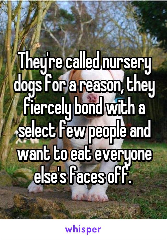 They're called nursery dogs for a reason, they fiercely bond with a select few people and want to eat everyone else's faces off. 