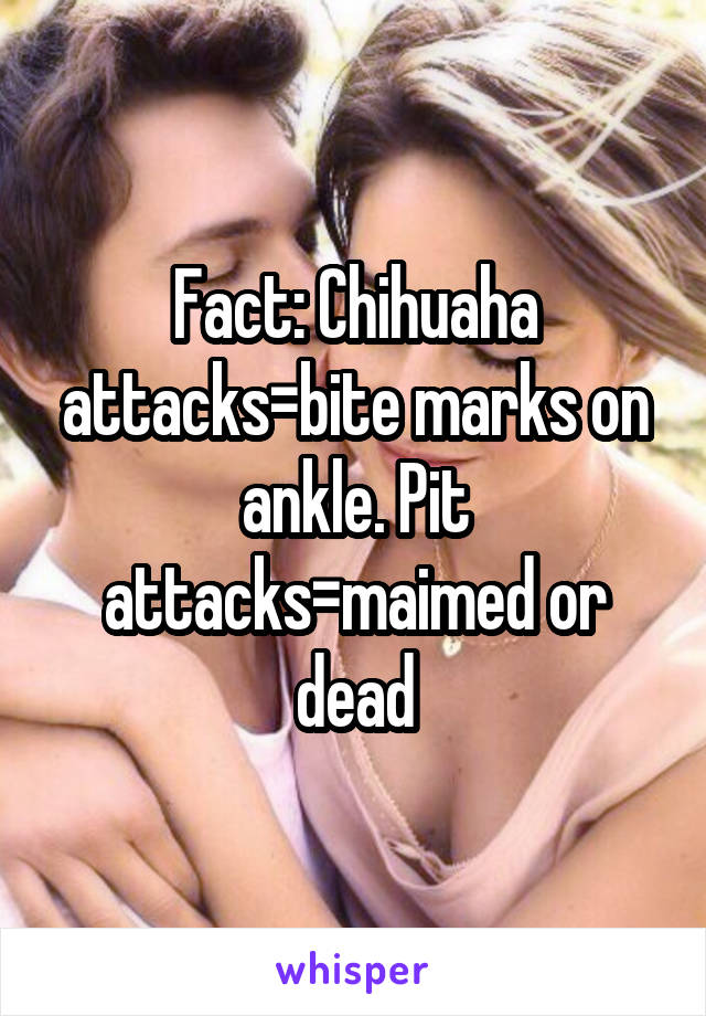 Fact: Chihuaha attacks=bite marks on ankle. Pit attacks=maimed or dead