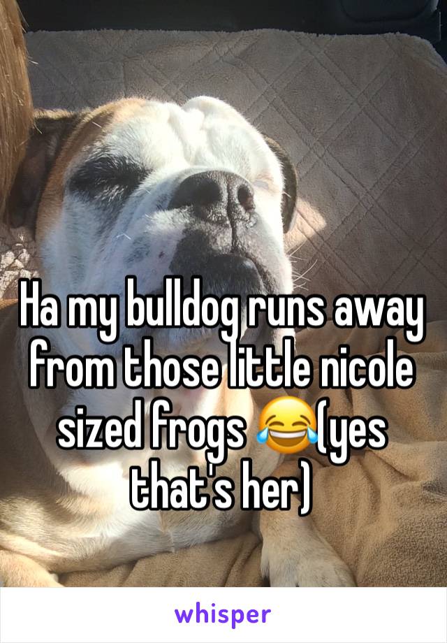 Ha my bulldog runs away from those little nicole sized frogs 😂(yes that's her)