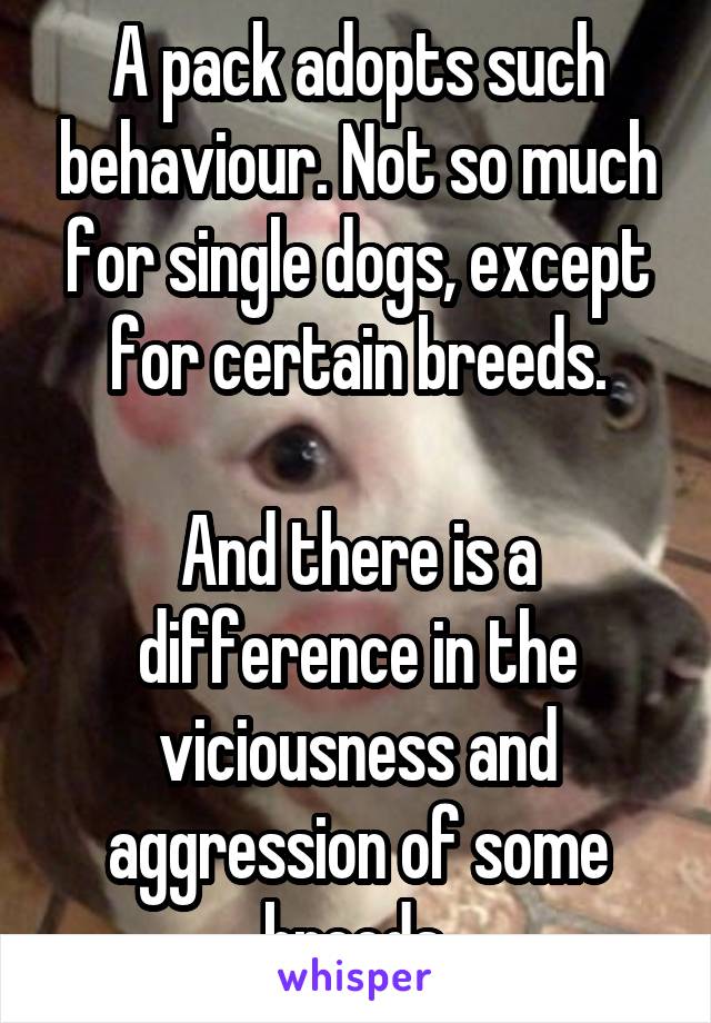 A pack adopts such behaviour. Not so much for single dogs, except for certain breeds.

And there is a difference in the viciousness and aggression of some breeds.