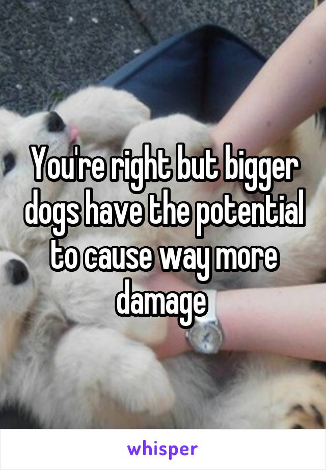 You're right but bigger dogs have the potential to cause way more damage 