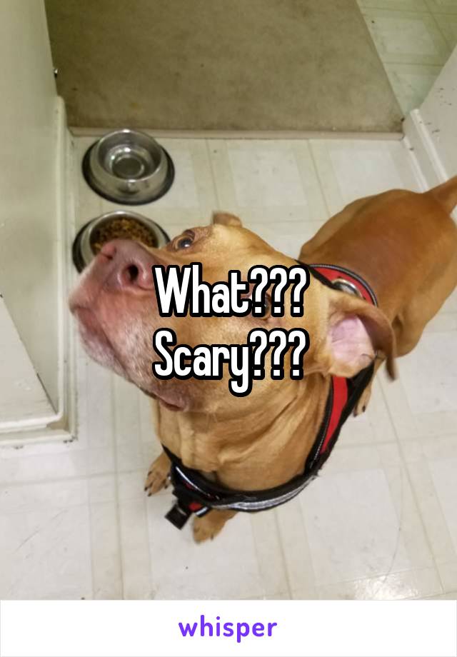 






What???
Scary???