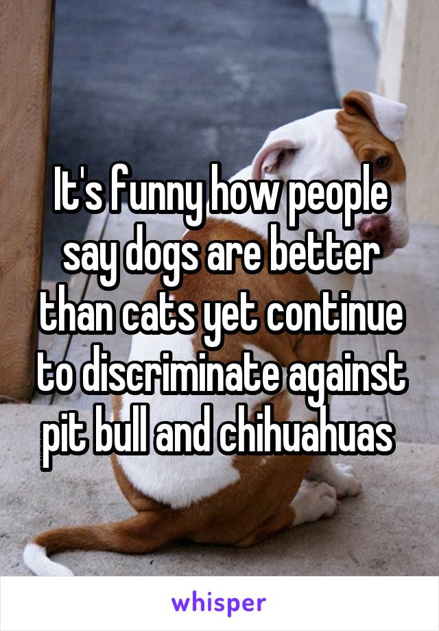 It's funny how people say dogs are better than cats yet continue to discriminate against pit bull and chihuahuas 