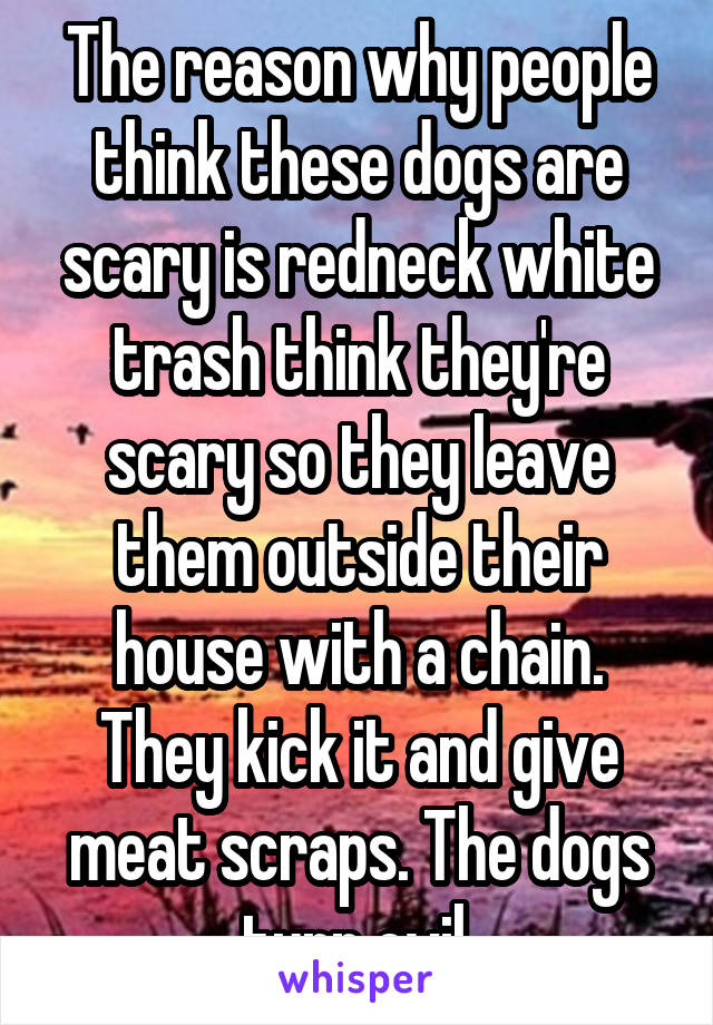 The reason why people think these dogs are scary is redneck white trash think they're scary so they leave them outside their house with a chain. They kick it and give meat scraps. The dogs turn evil.