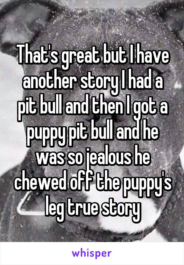 That's great but I have another story I had a pit bull and then I got a puppy pit bull and he was so jealous he chewed off the puppy's leg true story