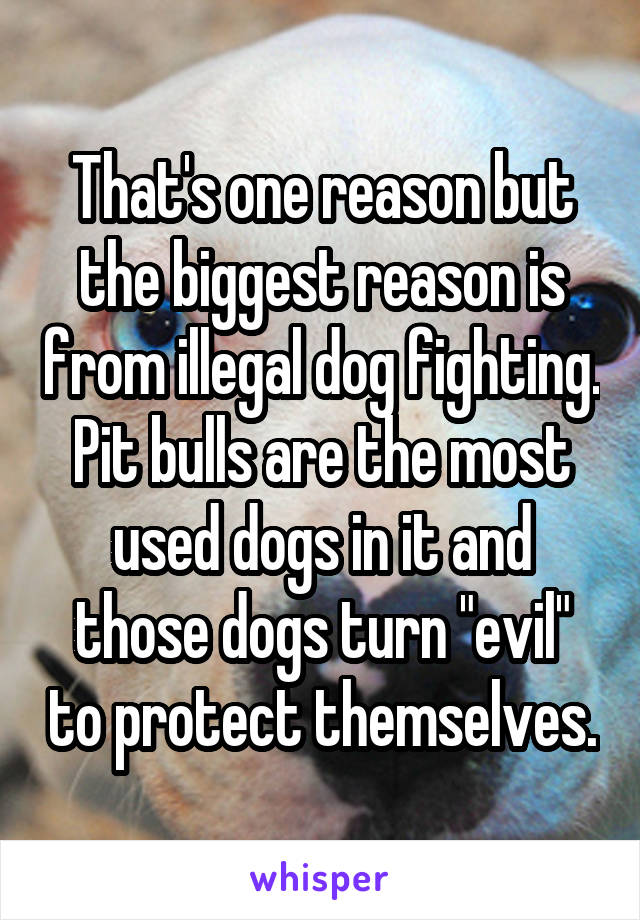 That's one reason but the biggest reason is from illegal dog fighting. Pit bulls are the most used dogs in it and those dogs turn "evil" to protect themselves.