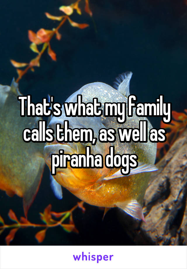 That's what my family calls them, as well as piranha dogs