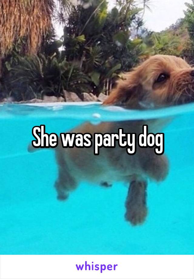 She was party dog