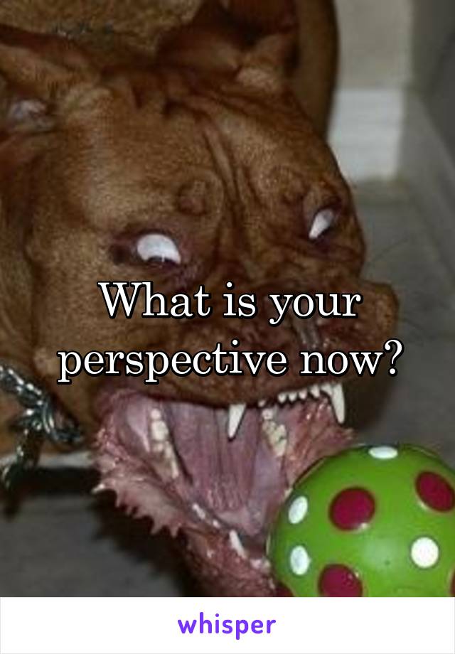 What is your perspective now?