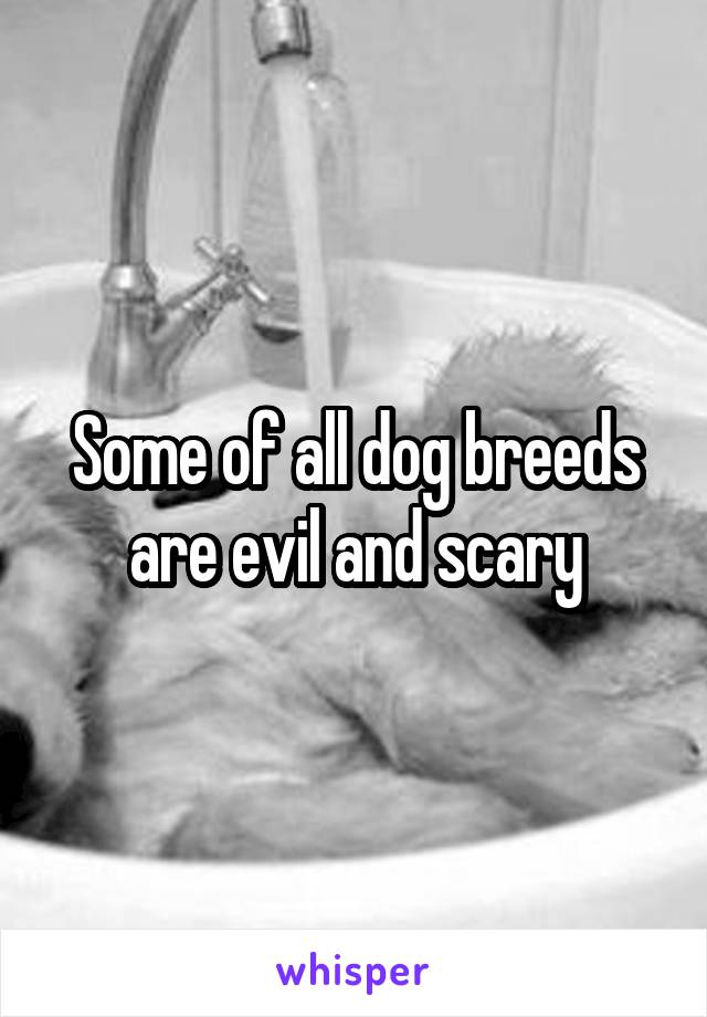 Some of all dog breeds are evil and scary