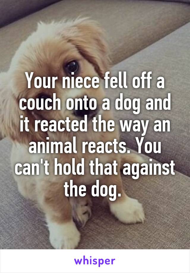 Your niece fell off a couch onto a dog and it reacted the way an animal reacts. You can't hold that against the dog. 