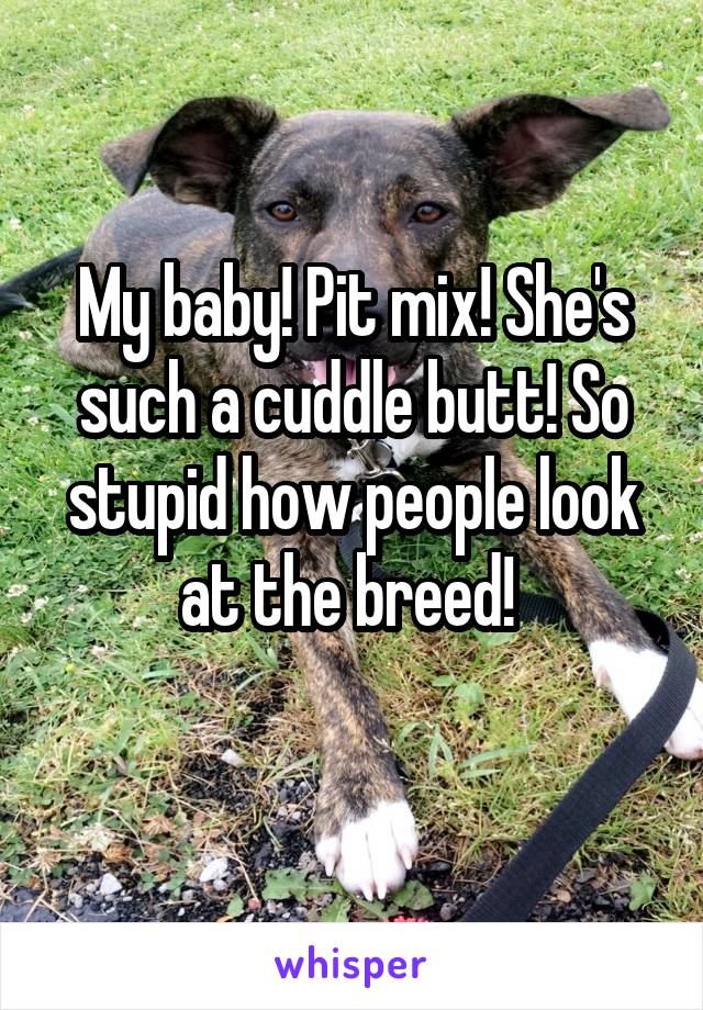My baby! Pit mix! She's such a cuddle butt! So stupid how people look at the breed! 
