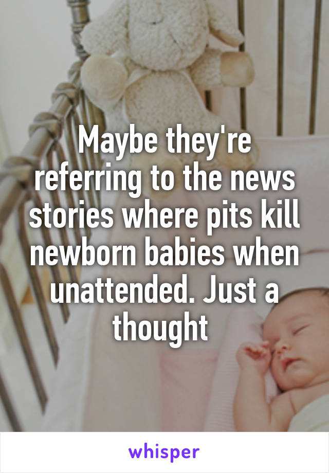 Maybe they're referring to the news stories where pits kill newborn babies when unattended. Just a thought 