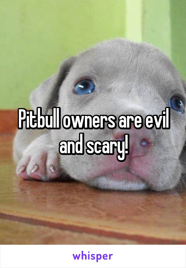 Pitbull owners are evil and scary!