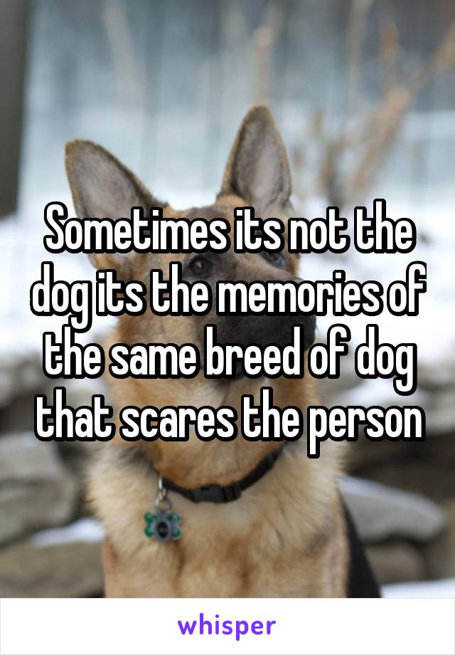 Sometimes its not the dog its the memories of the same breed of dog that scares the person