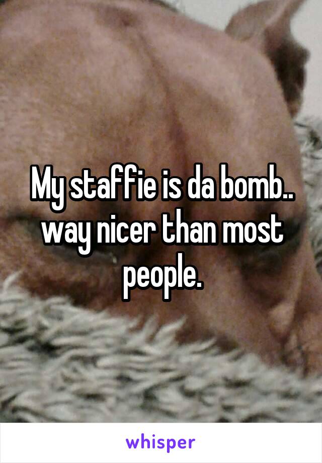 My staffie is da bomb.. way nicer than most people.