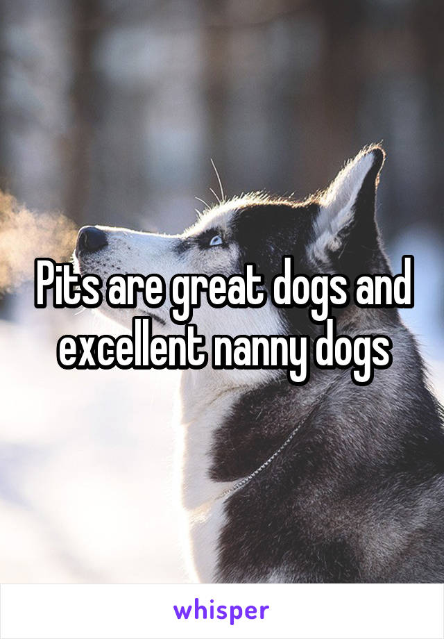 Pits are great dogs and excellent nanny dogs