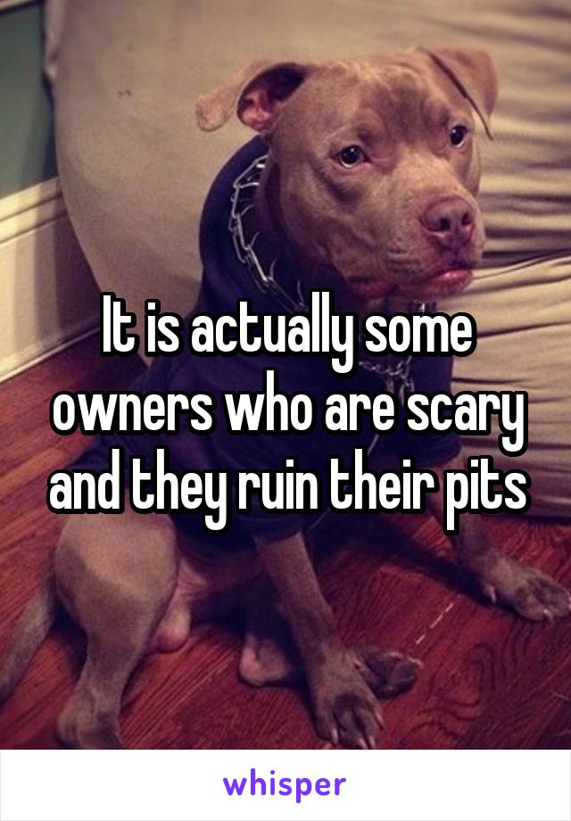 It is actually some owners who are scary and they ruin their pits
