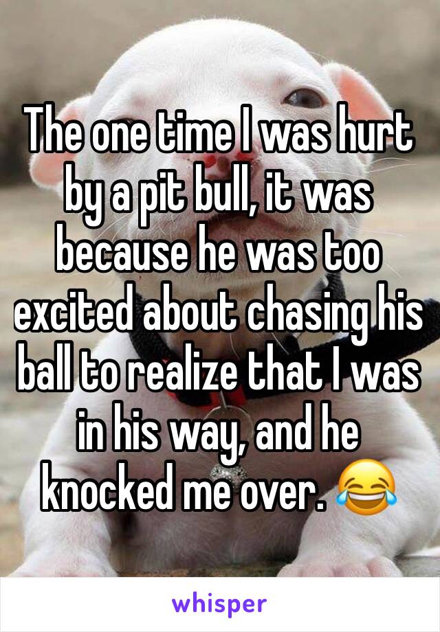 The one time I was hurt by a pit bull, it was because he was too excited about chasing his ball to realize that I was in his way, and he knocked me over. 😂 