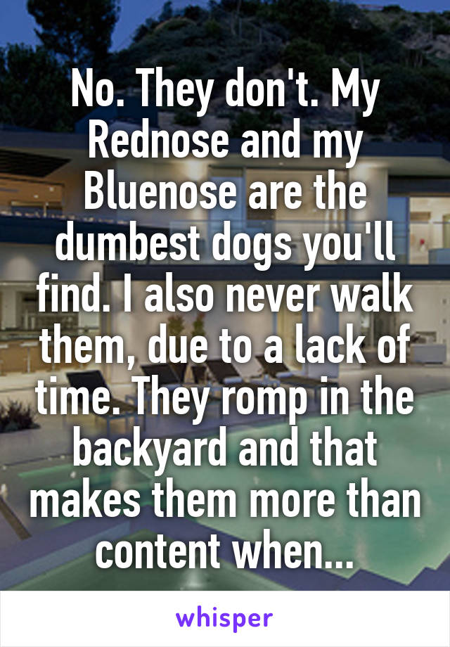 No. They don't. My Rednose and my Bluenose are the dumbest dogs you'll find. I also never walk them, due to a lack of time. They romp in the backyard and that makes them more than content when...