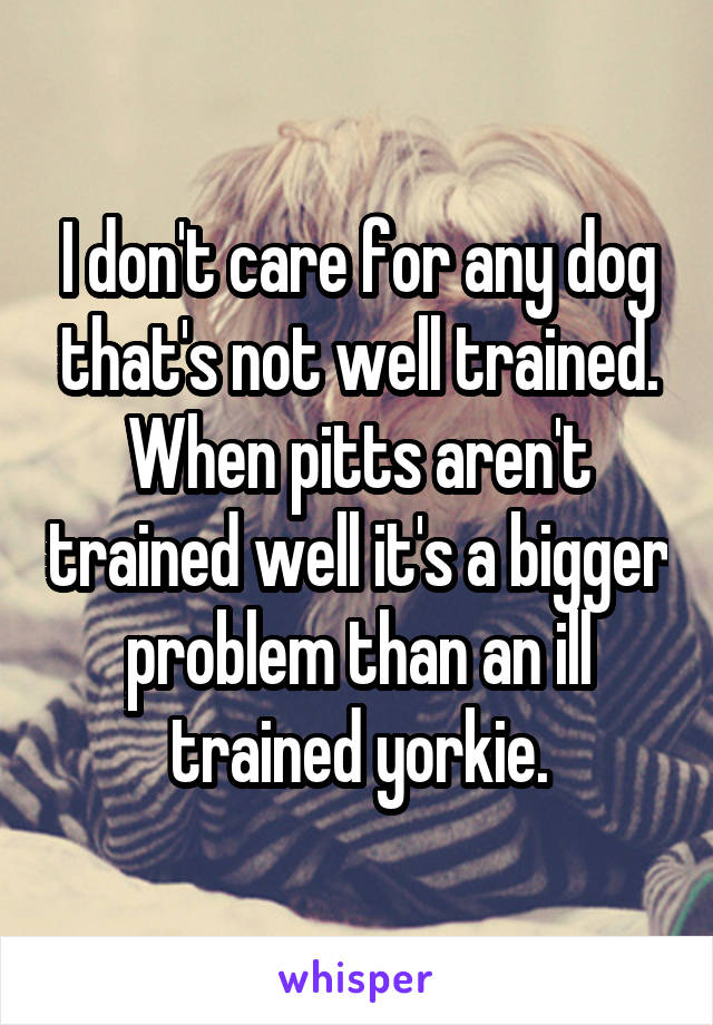 I don't care for any dog that's not well trained. When pitts aren't trained well it's a bigger problem than an ill trained yorkie.