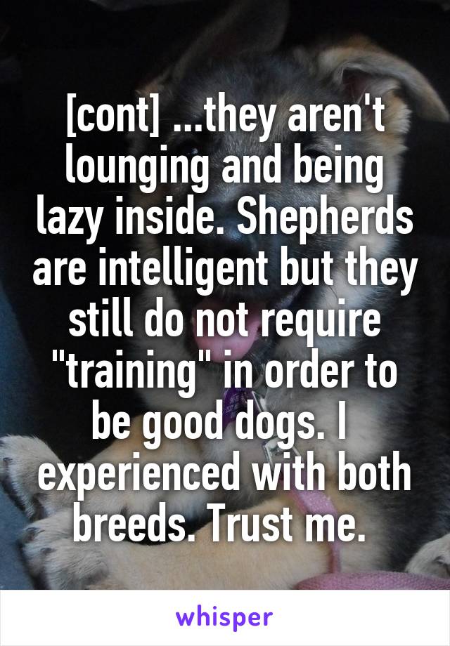 [cont] ...they aren't lounging and being lazy inside. Shepherds are intelligent but they still do not require "training" in order to be good dogs. I  experienced with both breeds. Trust me. 