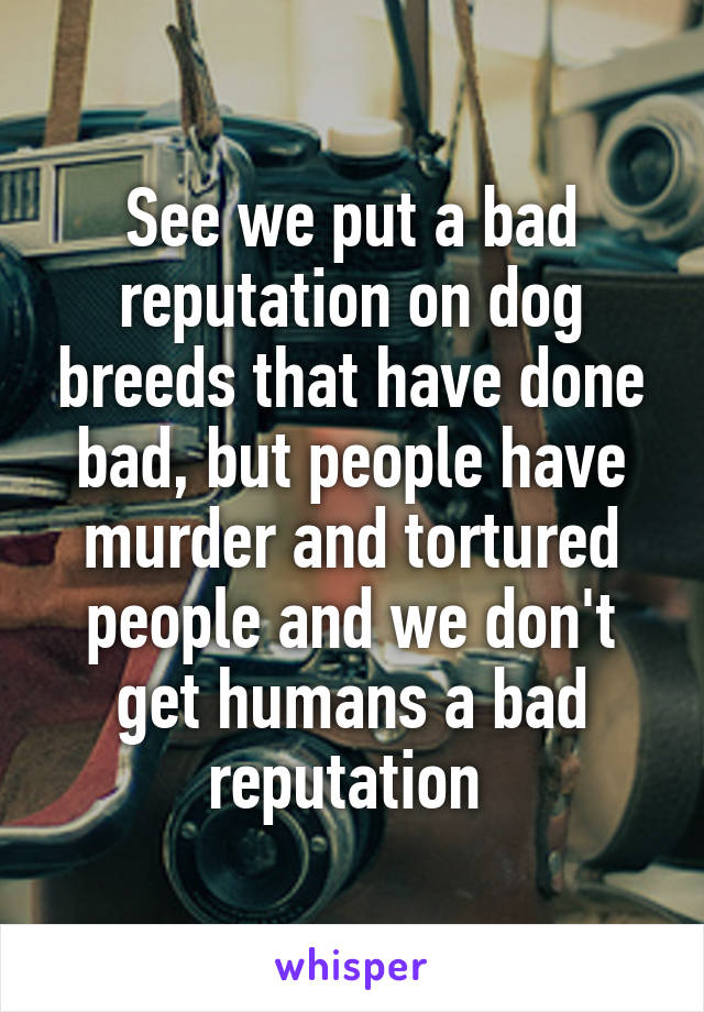 See we put a bad reputation on dog breeds that have done bad, but people have murder and tortured people and we don't get humans a bad reputation 
