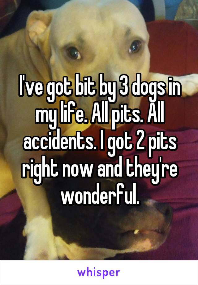 I've got bit by 3 dogs in my life. All pits. All accidents. I got 2 pits right now and they're wonderful.