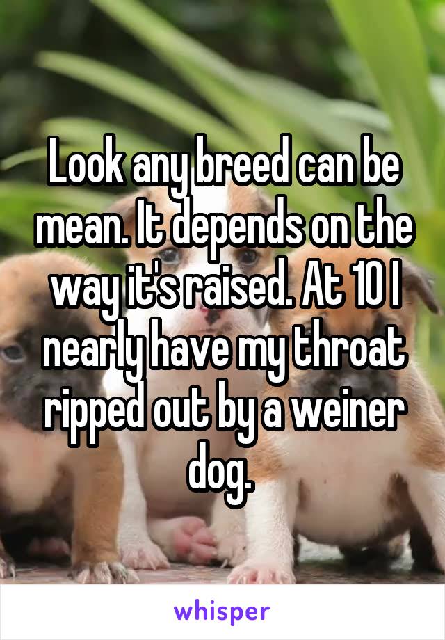 Look any breed can be mean. It depends on the way it's raised. At 10 I nearly have my throat ripped out by a weiner dog. 
