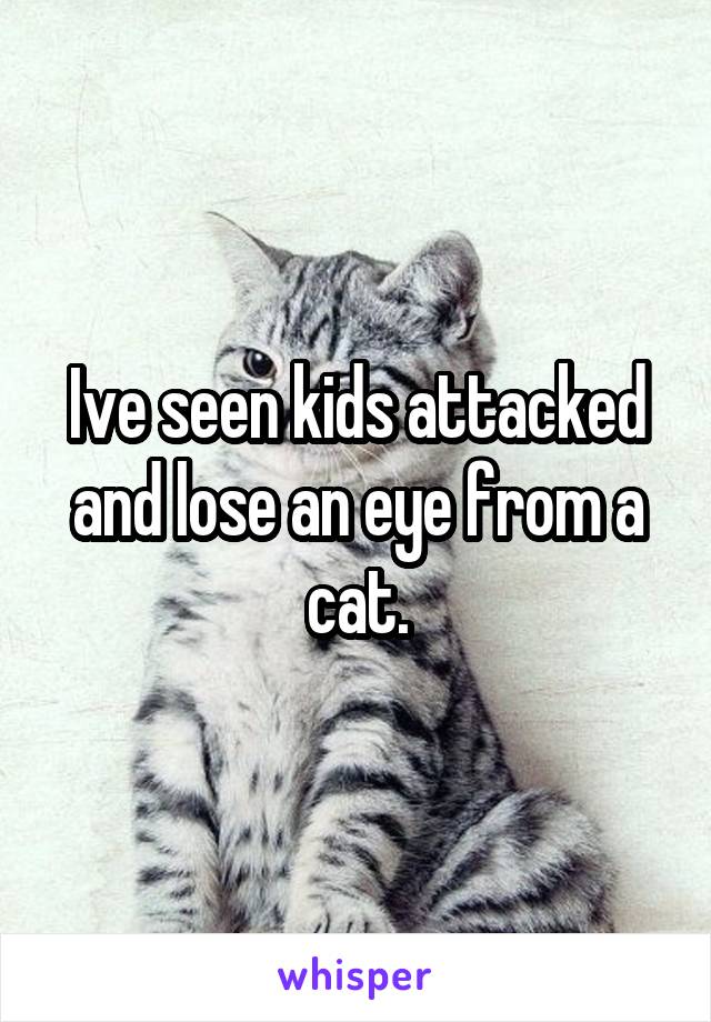 Ive seen kids attacked and lose an eye from a cat.
