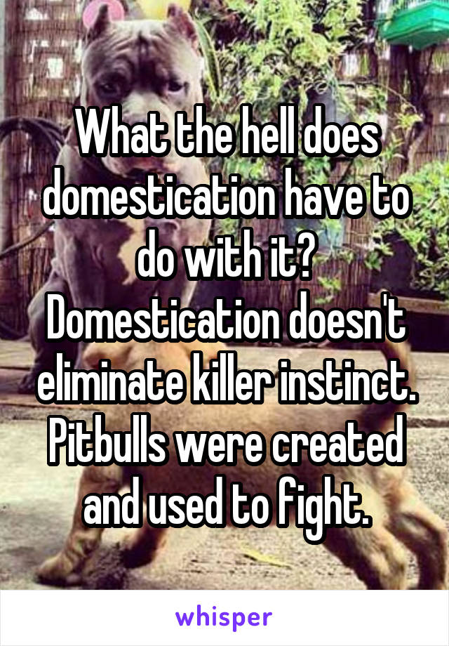 What the hell does domestication have to do with it? Domestication doesn't eliminate killer instinct. Pitbulls were created and used to fight.