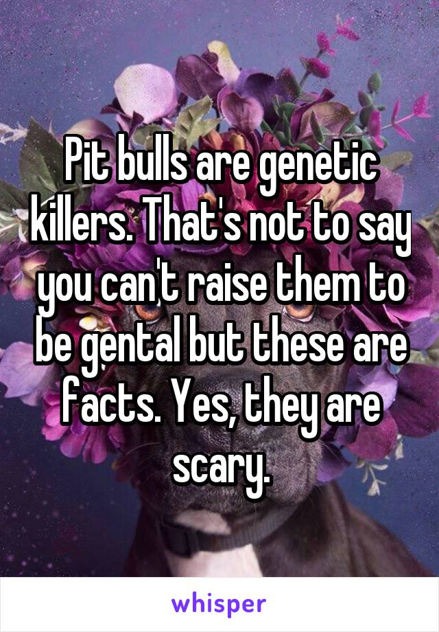 Pit bulls are genetic killers. That's not to say you can't raise them to be gental but these are facts. Yes, they are scary.