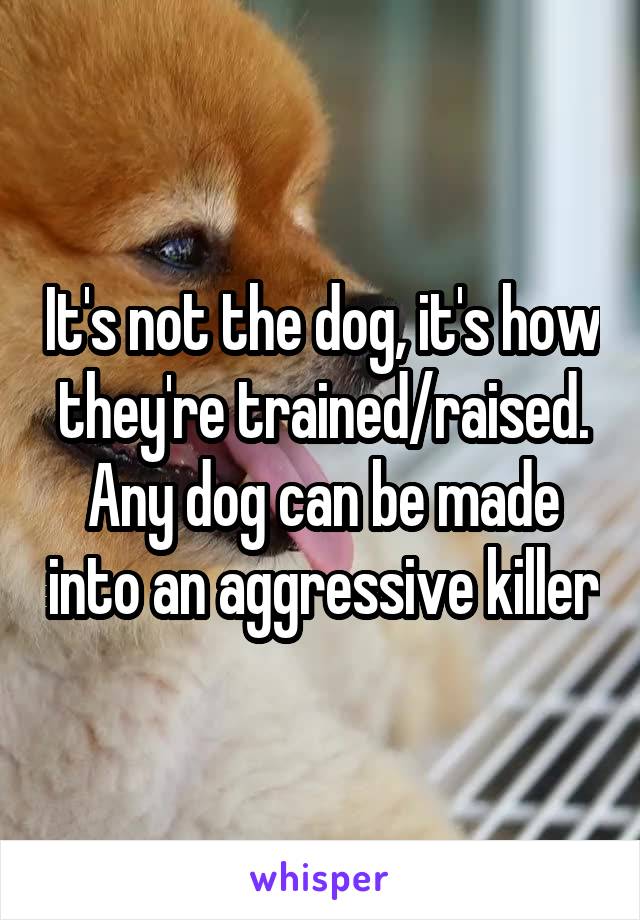 It's not the dog, it's how they're trained/raised. Any dog can be made into an aggressive killer
