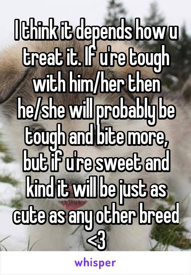 I think it depends how u treat it. If u're tough with him/her then he/she will probably be tough and bite more, but if u're sweet and kind it will be just as cute as any other breed <3